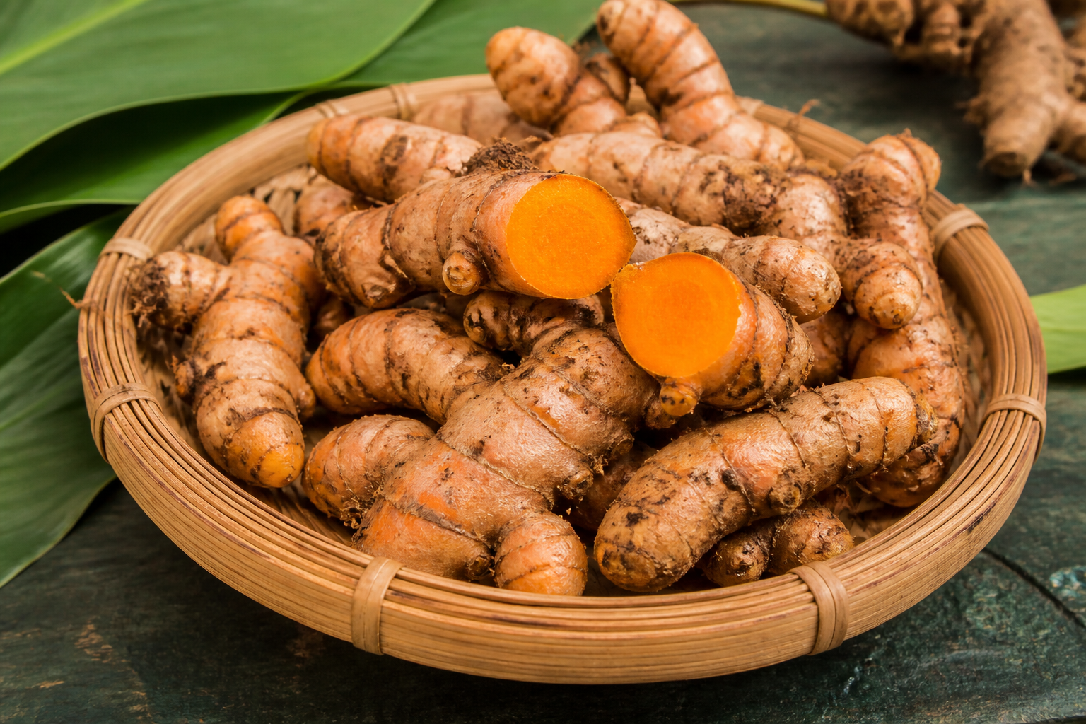Fresh Megha-1 turmeric rhizomes showing their golden-orange interior